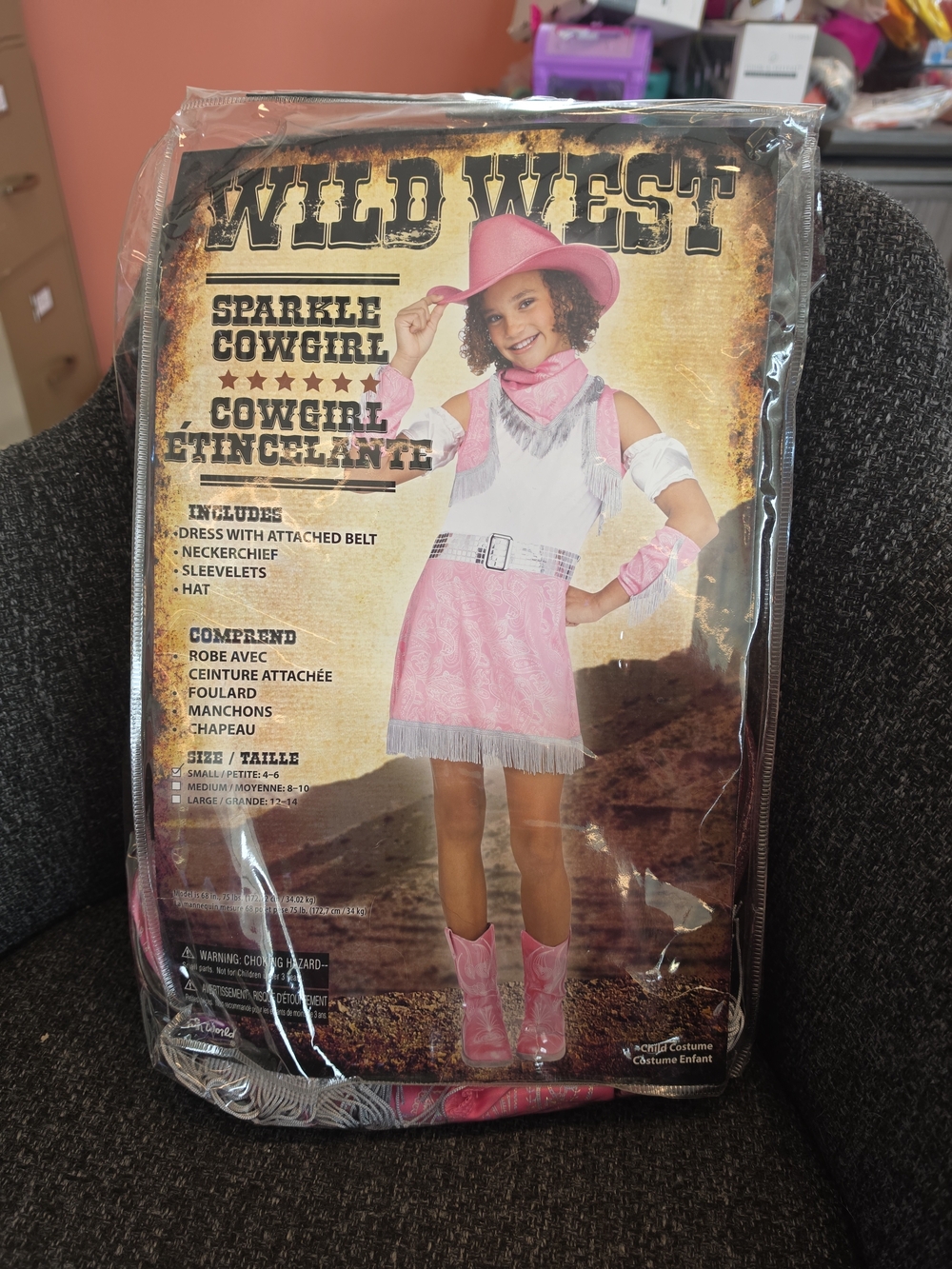 NIP Fun World Girls Size S(4-6) Wild West Sparkle Cowgirl Halloween Costume